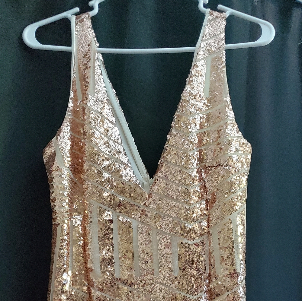 Dress- never worn!
